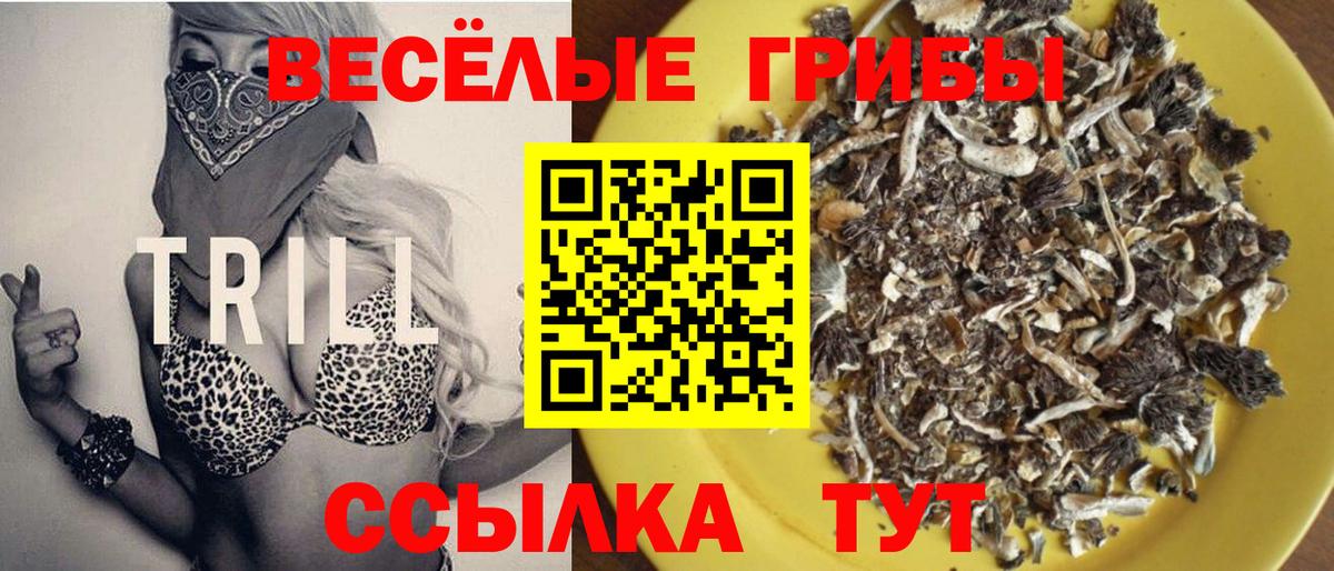  COCAIN Верхняя Пышма