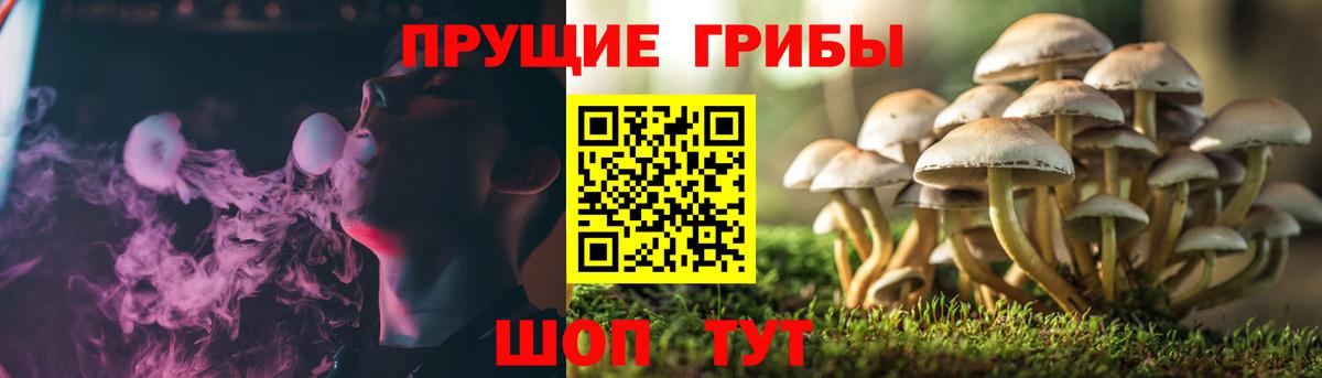 Галлюциногенные грибы ЛСД Верхняя Пышма